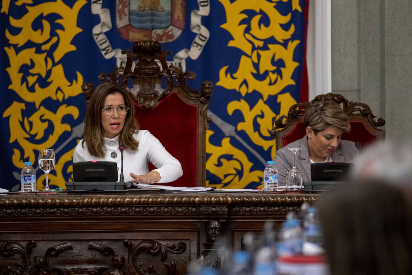 La compensación por la actualización del padrón inmobiliario desaparece de la normativa tributaria aprobada en el Pleno de Cartagena.