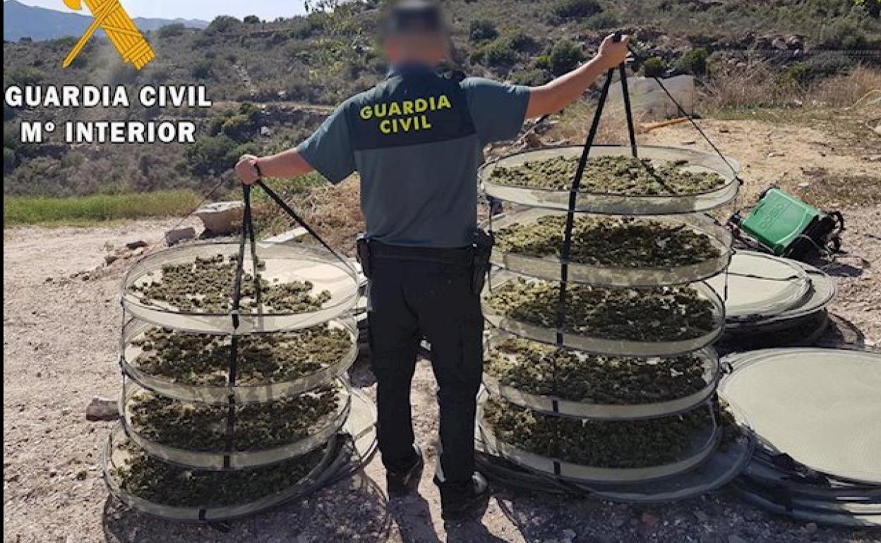 Un agente, con parte de la droga incautada. 