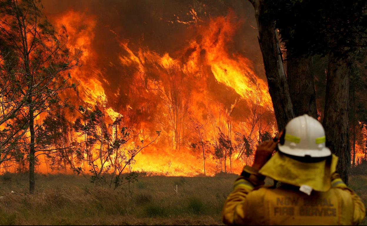 Un bombero australiano frente a uno de los incendios desatados en Asutralia.