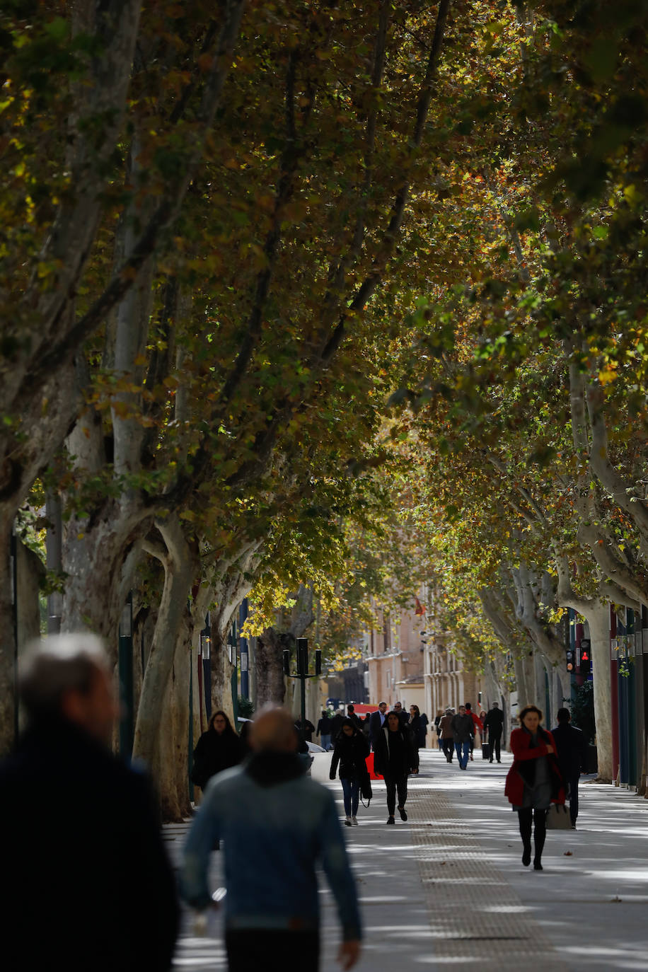 La inauguración del paseo será mañana con un espectáculo que ofrecerán artistas murcianos. 