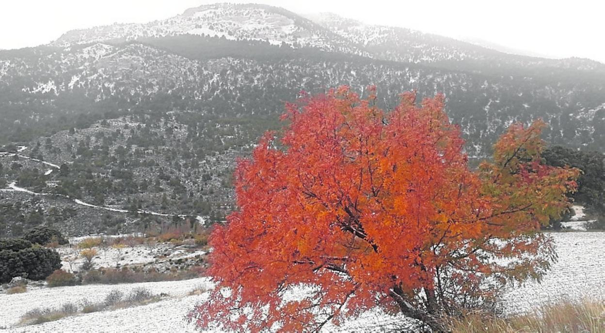 La nieve cubrió el entorno de Revolcadores, ayer. 