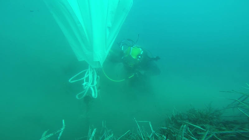 La asociación Submon retira 1.500 kilos de residuos en la Reserva Marina de Cabo Tiñoso, gracias al proyecto Libera