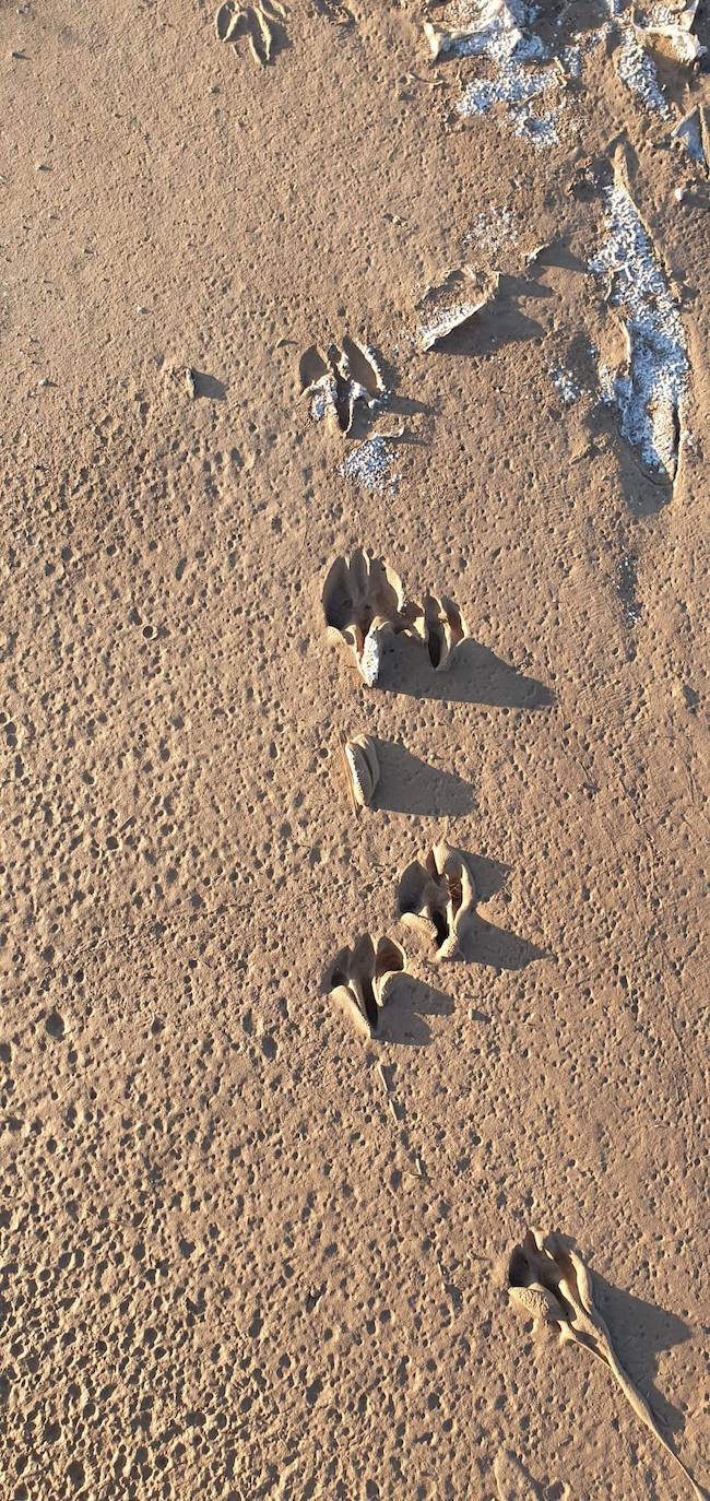 Estudia si la Comunidad ha incurrido en delitos contra el medio ambiente y de prevaricación en la parcela, que sigue sin un plan de descontaminación.