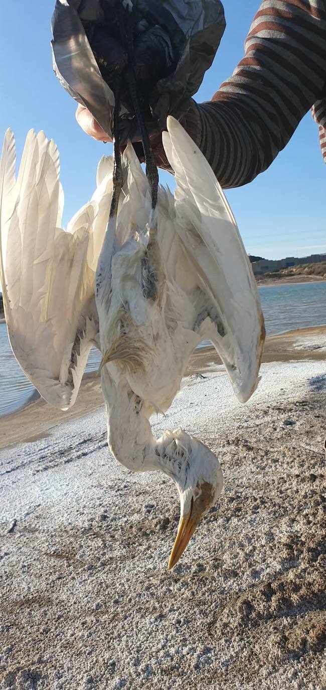 Estudia si la Comunidad ha incurrido en delitos contra el medio ambiente y de prevaricación en la parcela, que sigue sin un plan de descontaminación.