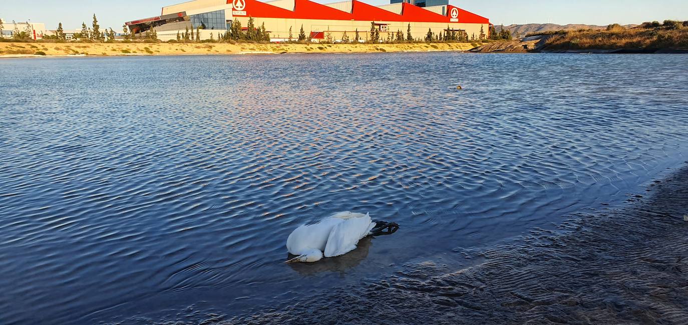 Estudia si la Comunidad ha incurrido en delitos contra el medio ambiente y de prevaricación en la parcela, que sigue sin un plan de descontaminación.