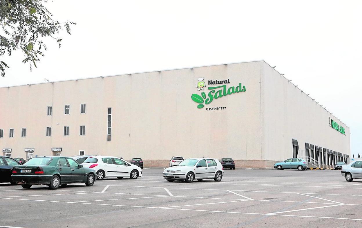 Instalaciones que la firma agrícola Natural Salads tiene en Lorca. 