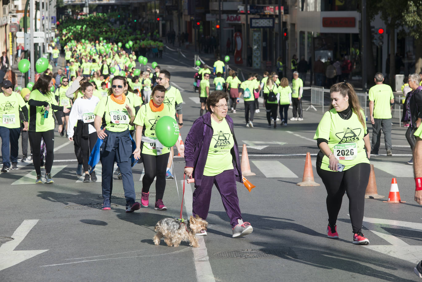 Fotos: El verde esperanza inunda Murcia