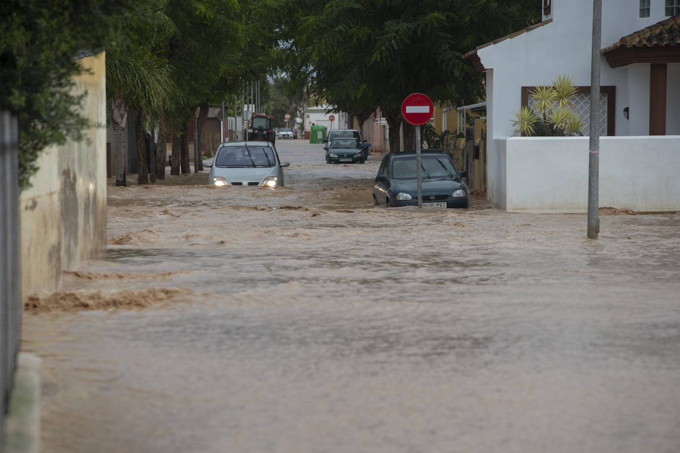 Fotos: Los arrastres del campo de Cartagena anegan Los Alcázares
