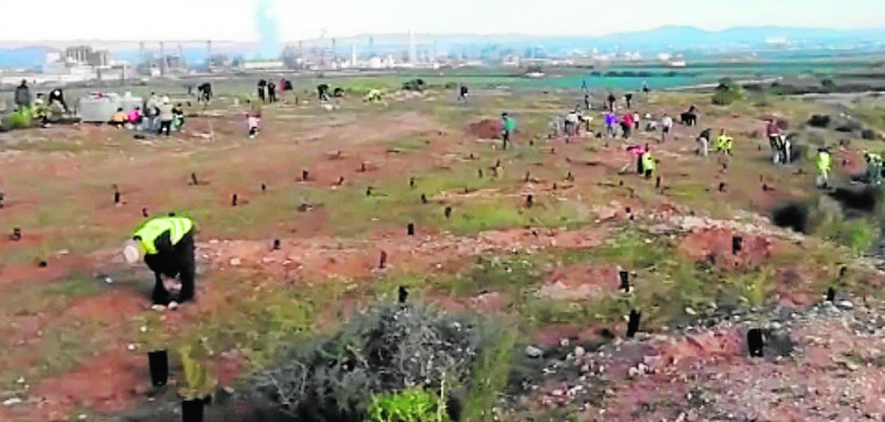 Un grupo de vecinos, el domingo durante la plantación de árboles. 