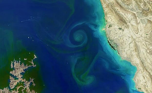 El océano o la gran sopa en ebullición