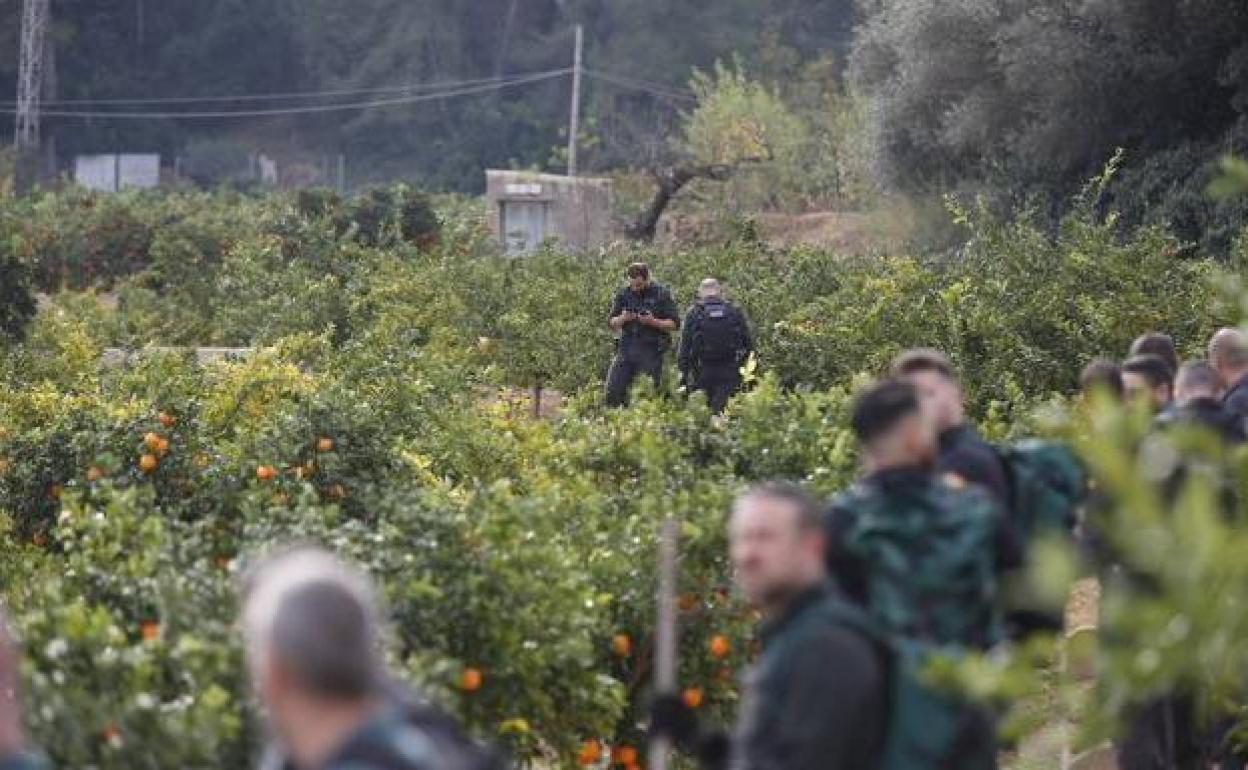 Búsqueda de Marta Calvo en los alrededores de Manuel el 29 de noviembre.