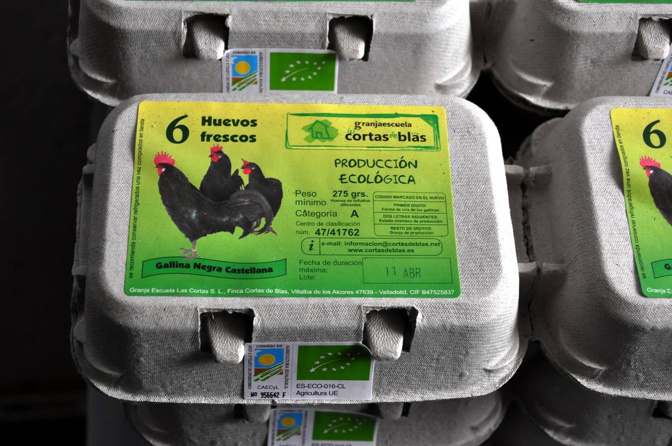 Huevos ecológicos producidos por la variedad de gallina negra castellana. 