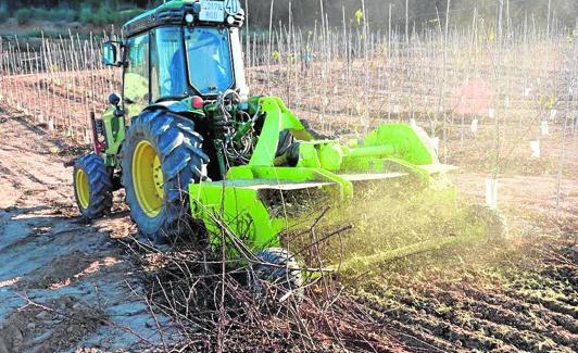 Un agricultor tritura restos de poda de melocotoneros en una finca de Cieza, esta semana. 