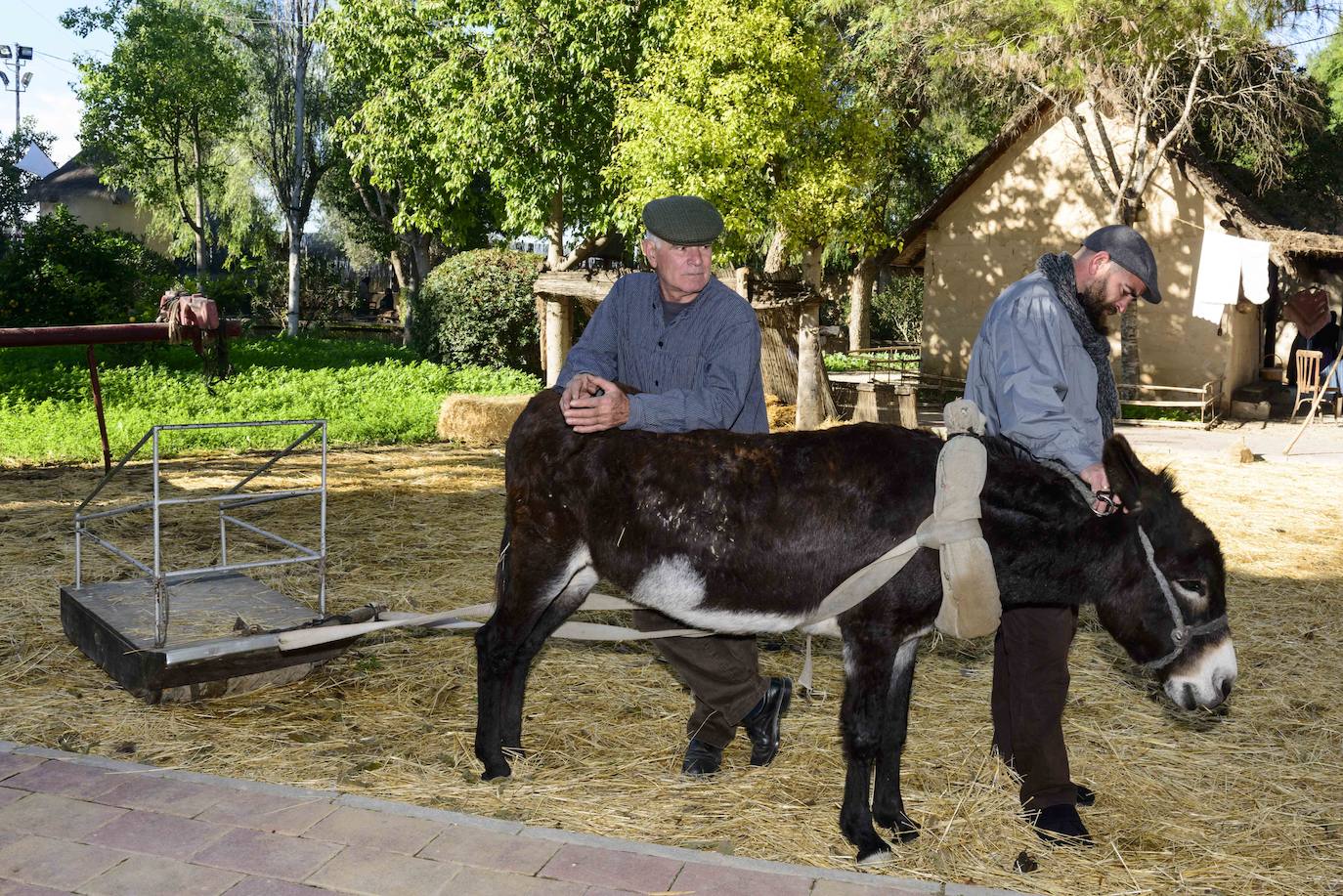 Fotos: La Navidad vuelve a cobrar vida en El Raal