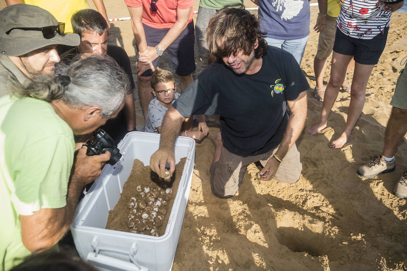 30-07-2019. Una tortuga boba conquista Calblanque. Medio Ambiente custodia en Cala Arturo el primer anidamiento de esta especie en el litoral de la Región en más de cien años. Después de varios veranos intentándolo, por fin un ejemplar de este quelonio amenazado deposita sus huevos en el Parque Regional de Calblanque, Monte de las Cenizas y Peña del Águila. Se trata del primer desove de ‘Caretta caretta’ después de un anidamiento documentado en La Manga a finales del siglo XIX. :: J. M. Rodríguez / AGM