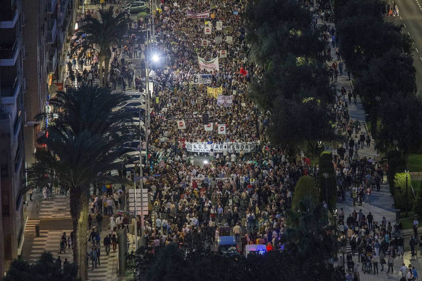 Fotos: OCTUBRE. Tres toneladas de peces mueren asfixiados en el Mar Menor