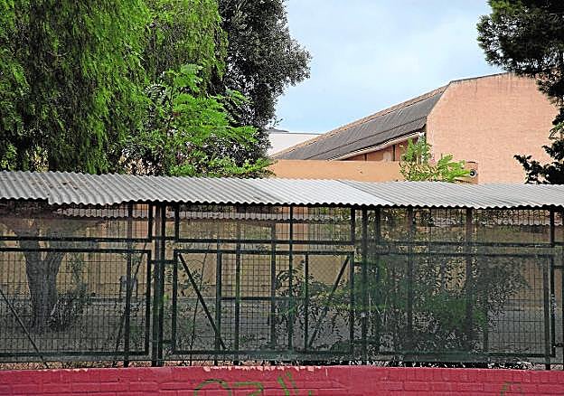 Cubierta del pabellón del Instituto Elcano, de Tentegorra, que será sustituida por otra nueva en los próximos dos años. 