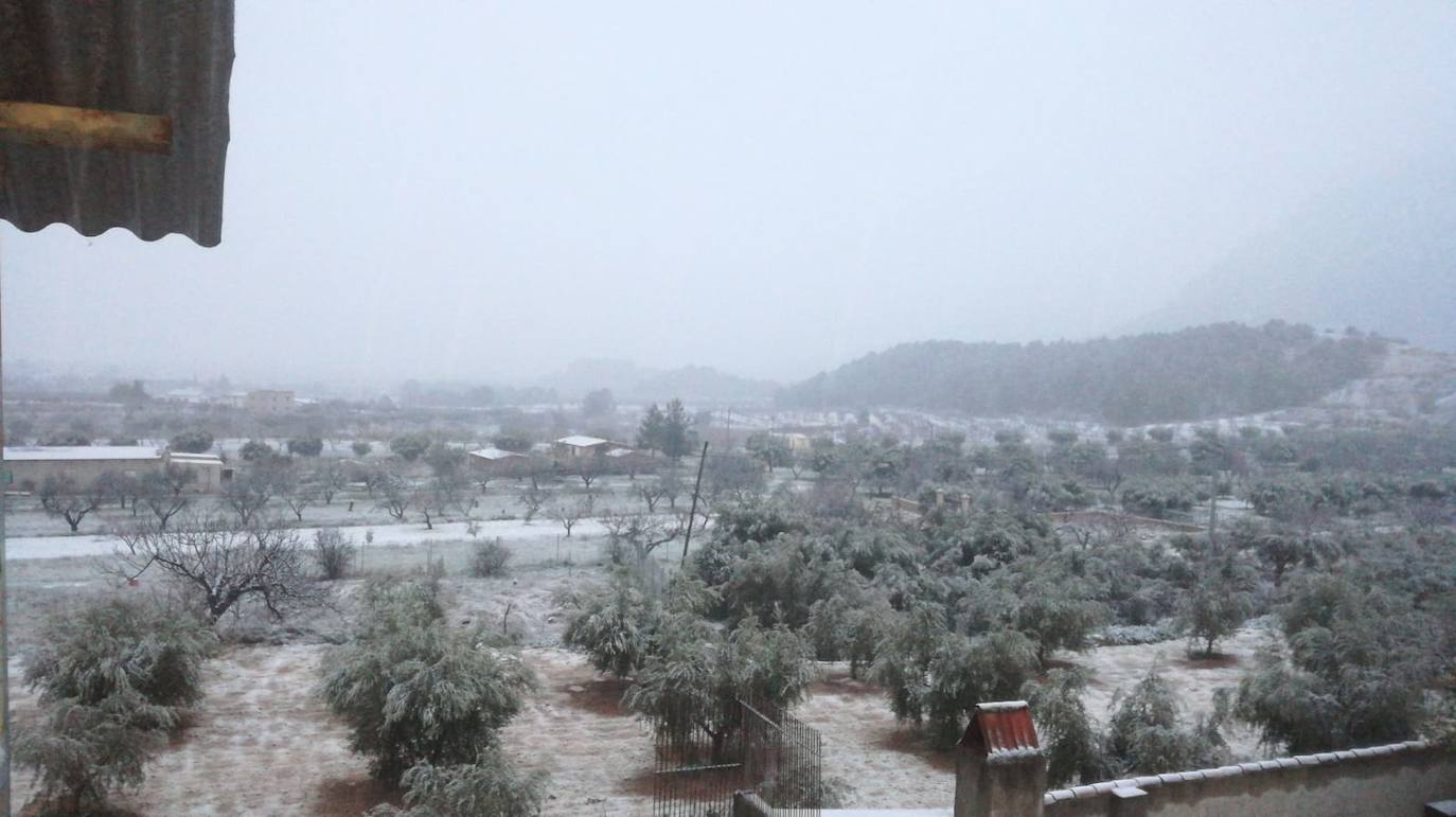 Campos muleños de Cagitán-Ardal.