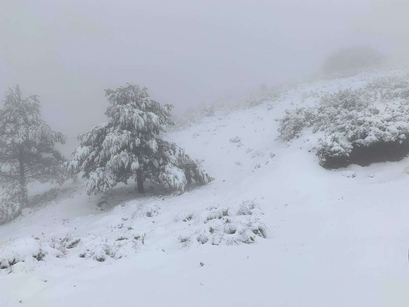 Grandes acumulaciones de nieve en Carrascoy.