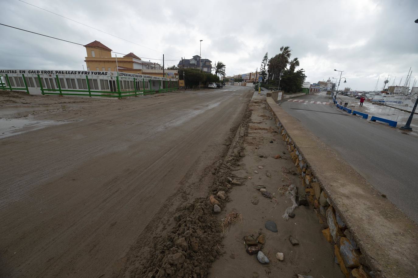 Las áreas más afectadas fueron la plaza Bohemia, donde cayeron palmeras, árboles y cactus gigantes, y la zona de bares de la urbanización Babilonia