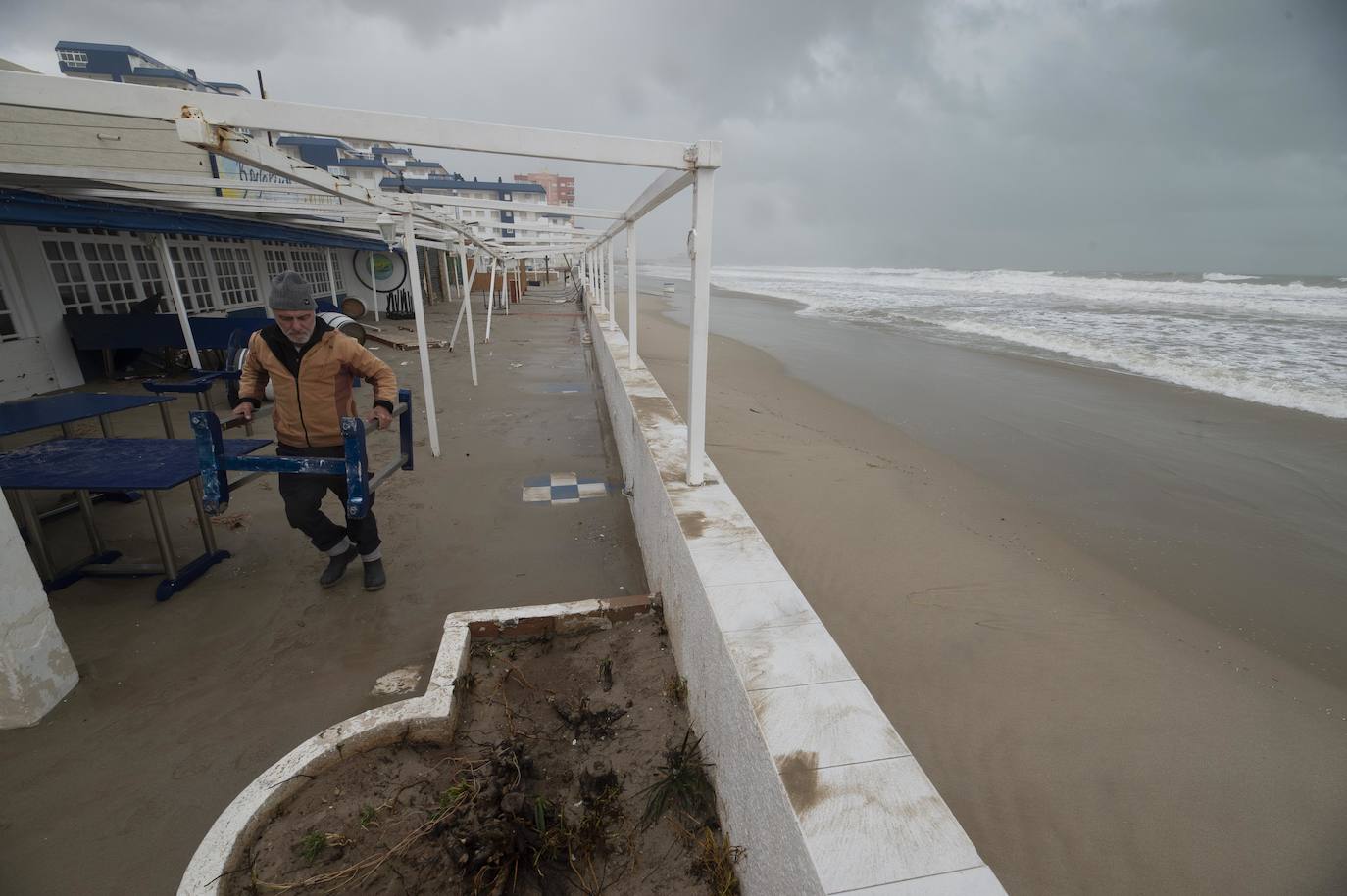 Las áreas más afectadas fueron la plaza Bohemia, donde cayeron palmeras, árboles y cactus gigantes, y la zona de bares de la urbanización Babilonia