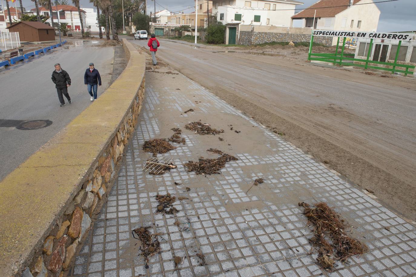 Las áreas más afectadas fueron la plaza Bohemia, donde cayeron palmeras, árboles y cactus gigantes, y la zona de bares de la urbanización Babilonia