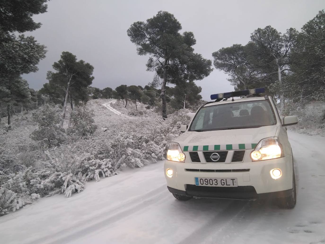 Junto a estos registros destacan los 20 centímetros de Bullas, a 600 metros; Caravaca-Los Rollos (15 centímetros), Benizar (10 cm), Totana-La Carrasca (10 cm) y Alhama-Sierra Espuña (2 cm)