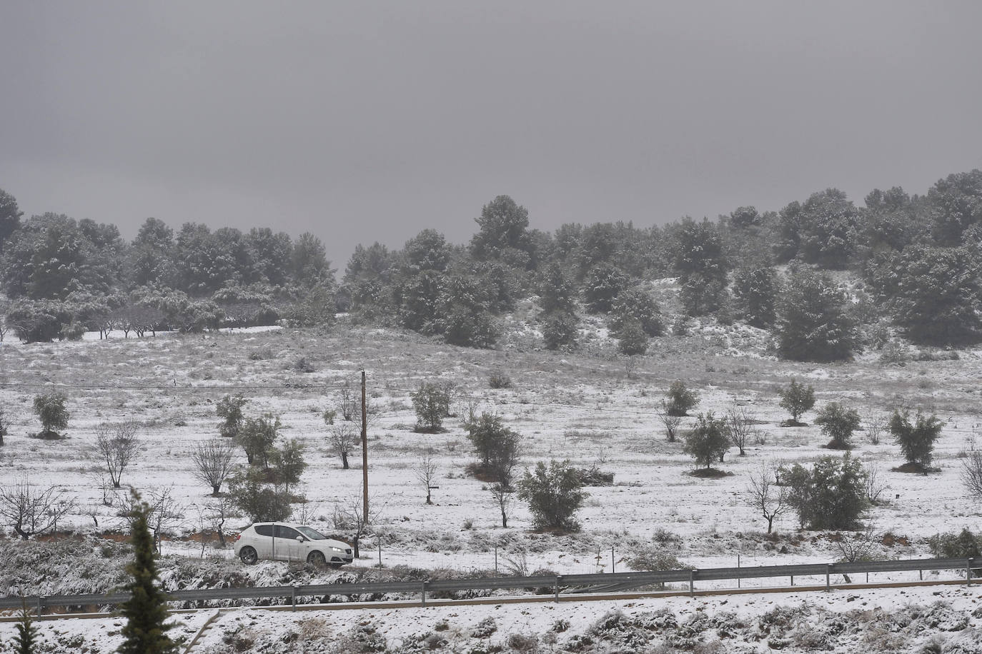 Junto a estos registros destacan los 20 centímetros de Bullas, a 600 metros; Caravaca-Los Rollos (15 centímetros), Benizar (10 cm), Totana-La Carrasca (10 cm) y Alhama-Sierra Espuña (2 cm)