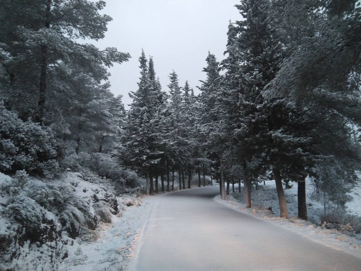 Junto a estos registros destacan los 20 centímetros de Bullas, a 600 metros; Caravaca-Los Rollos (15 centímetros), Benizar (10 cm), Totana-La Carrasca (10 cm) y Alhama-Sierra Espuña (2 cm)