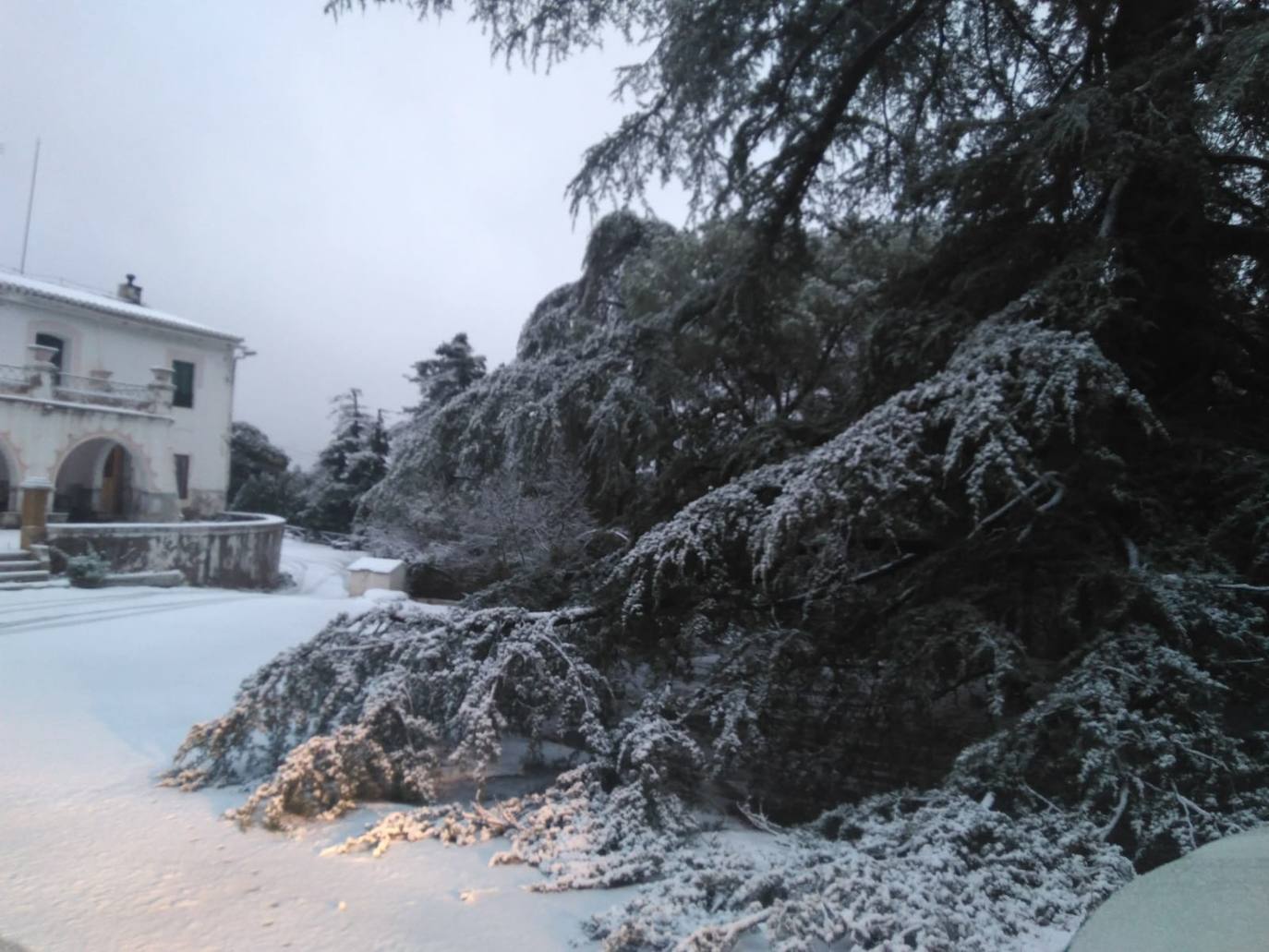 Junto a estos registros destacan los 20 centímetros de Bullas, a 600 metros; Caravaca-Los Rollos (15 centímetros), Benizar (10 cm), Totana-La Carrasca (10 cm) y Alhama-Sierra Espuña (2 cm)