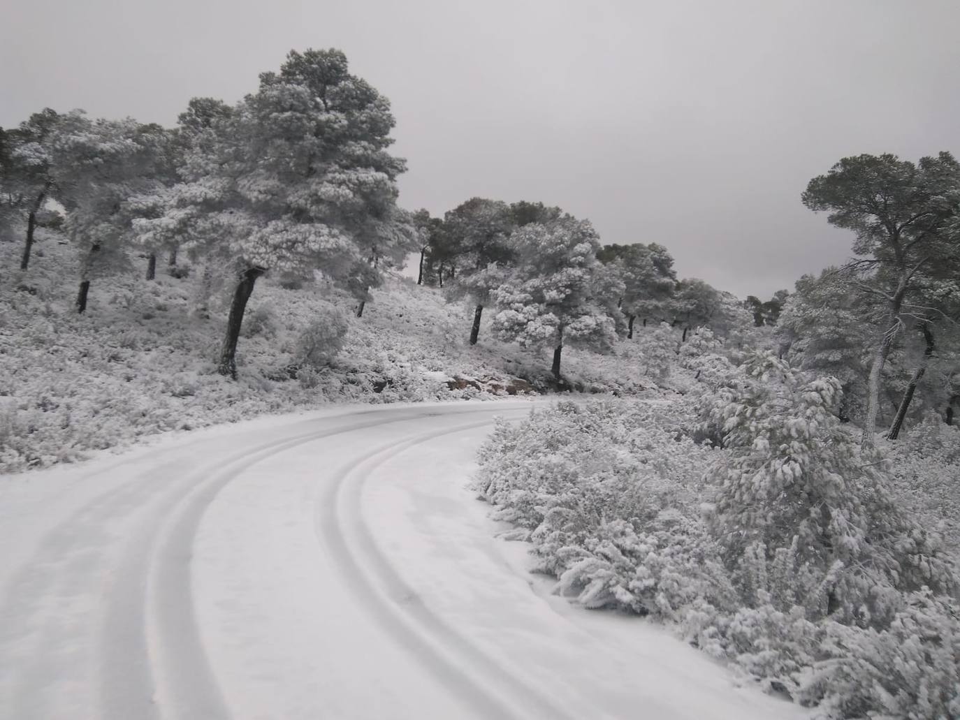 Junto a estos registros destacan los 20 centímetros de Bullas, a 600 metros; Caravaca-Los Rollos (15 centímetros), Benizar (10 cm), Totana-La Carrasca (10 cm) y Alhama-Sierra Espuña (2 cm)