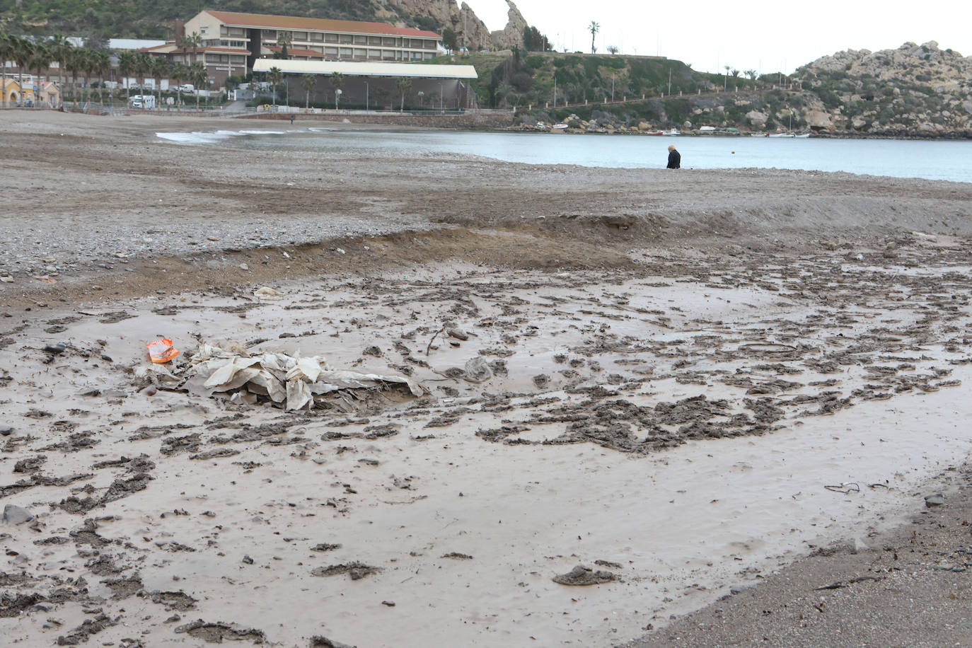 Fotos: Operación &#039;draga y pintura&#039; en las playas de la Región