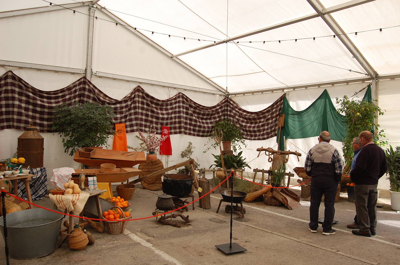 Fotos: 1.000 kilos de matanza en Alhama