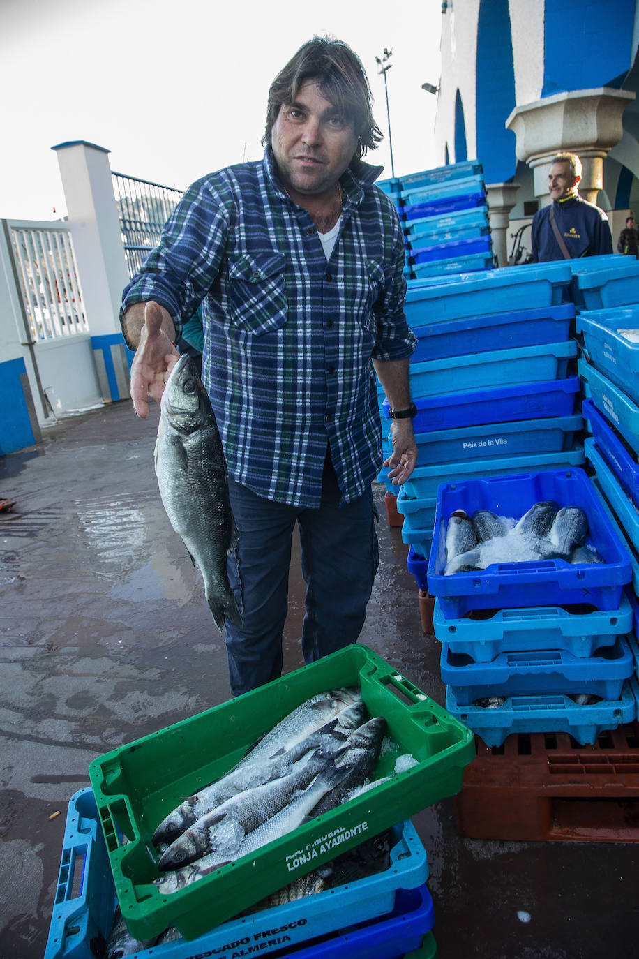 Fotos: La fuga de doradas y lubinas de jaulas tira los precios del pescado en la lonja de Cartagena