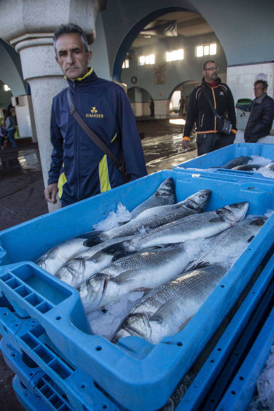 Fotos: La fuga de doradas y lubinas de jaulas tira los precios del pescado en la lonja de Cartagena