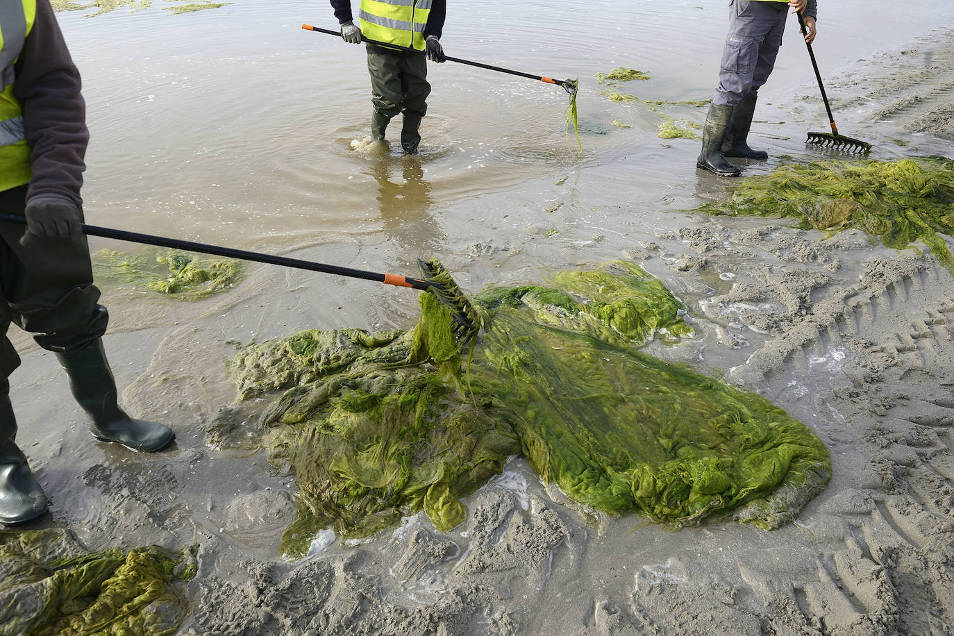 Fotos: Operación &#039;draga y pintura&#039; en las playas de la Región