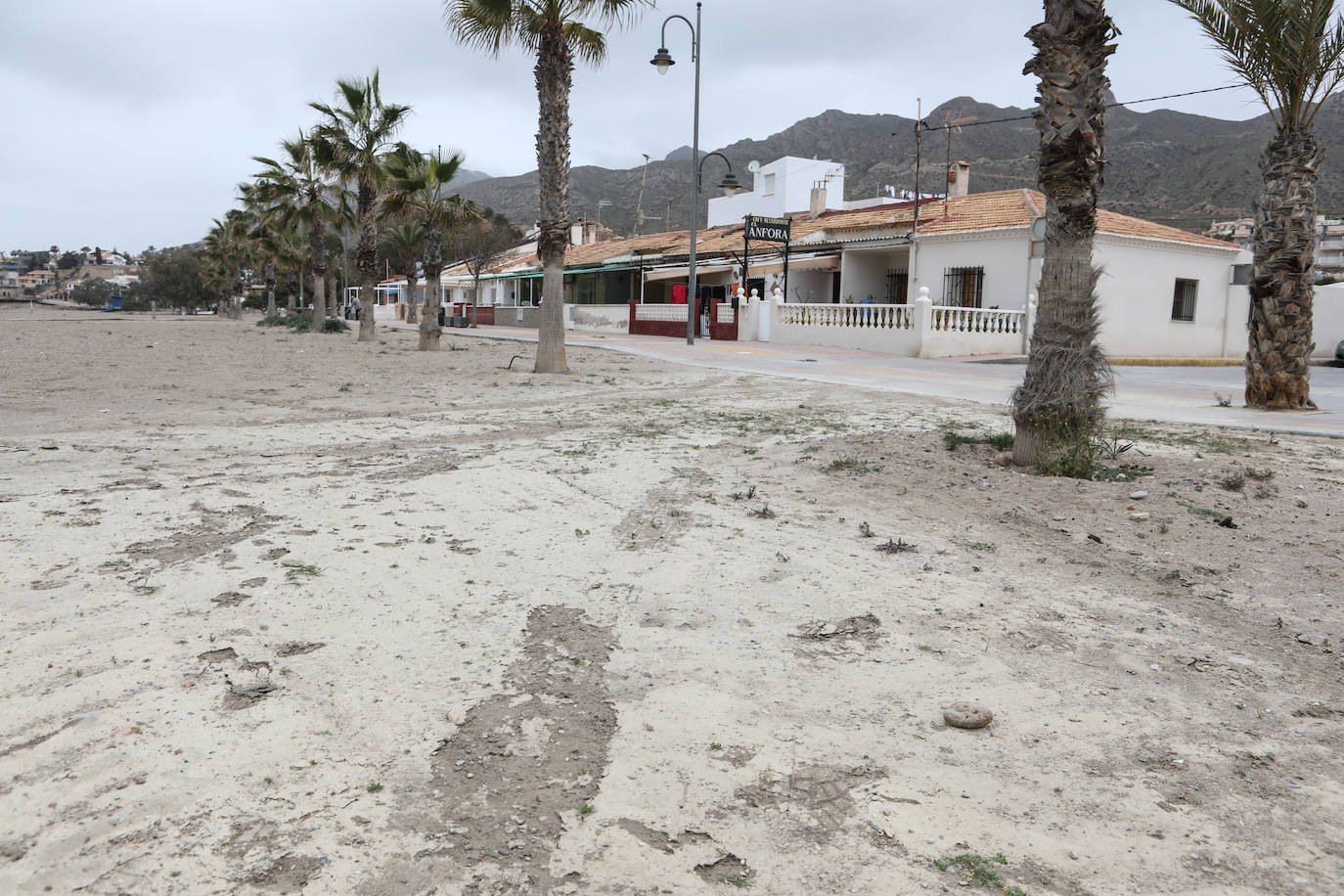 Fotos: Operación &#039;draga y pintura&#039; en las playas de la Región