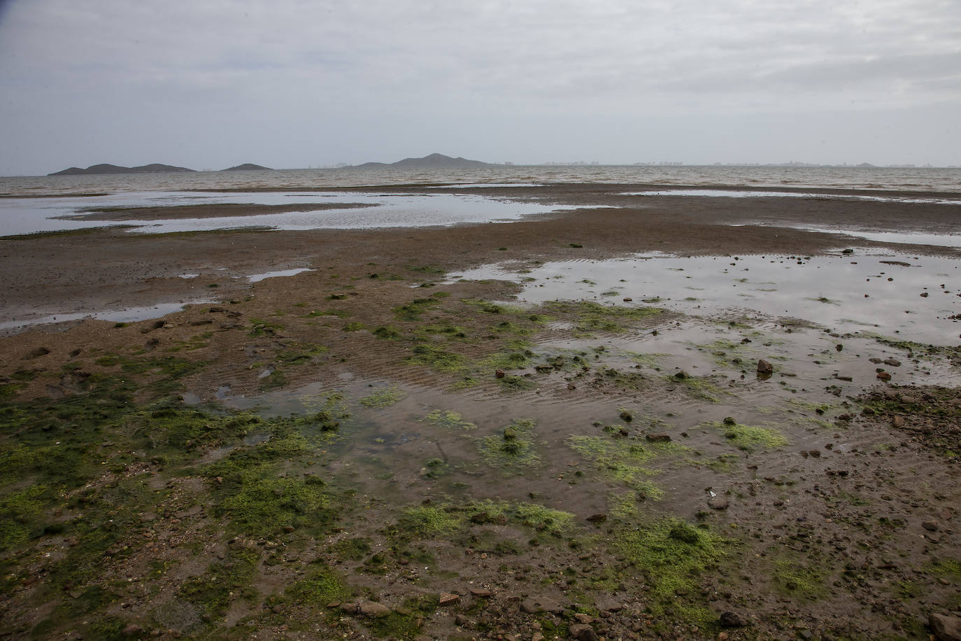 Fotos: Operación &#039;draga y pintura&#039; en las playas de la Región