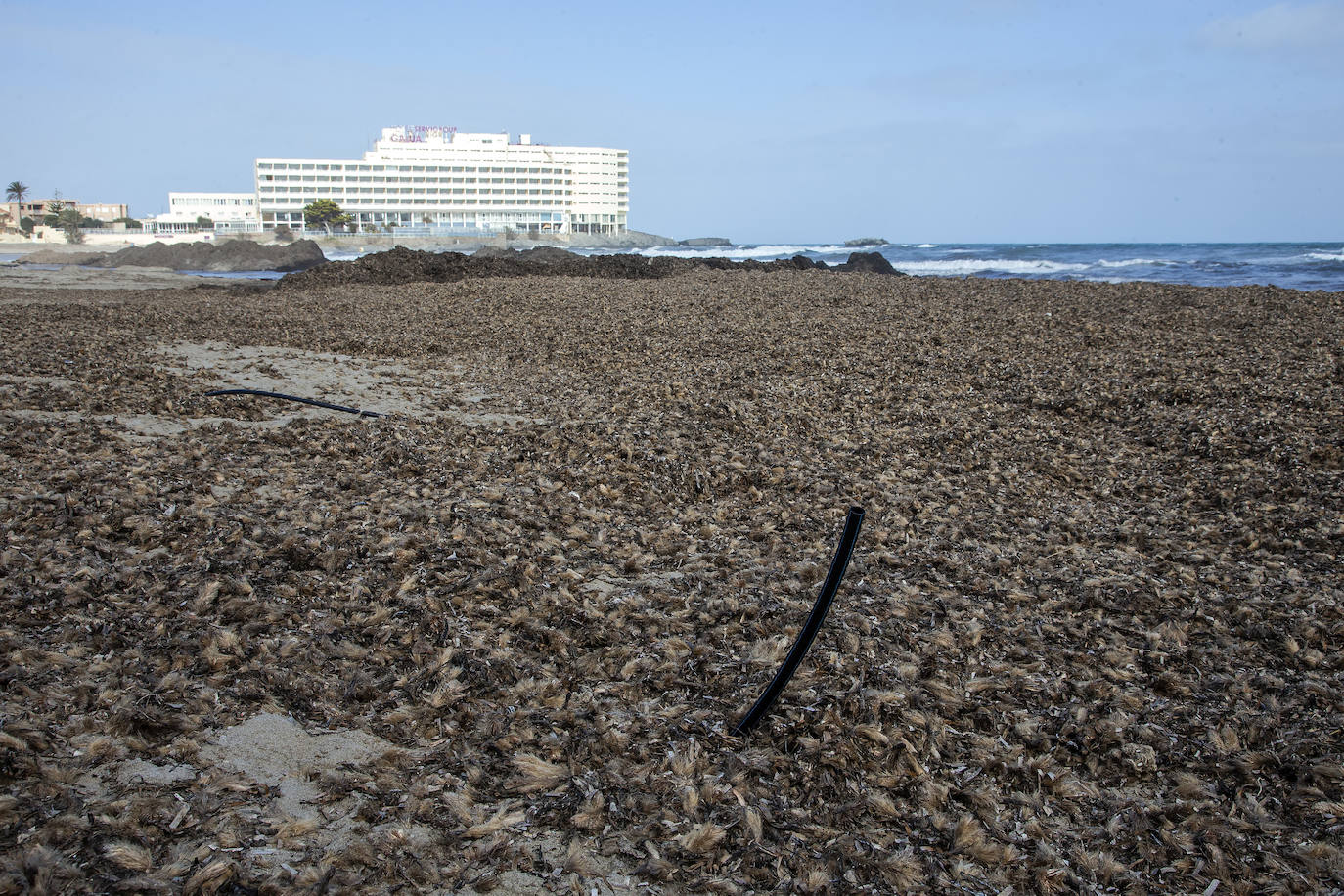 Fotos: Operación &#039;draga y pintura&#039; en las playas de la Región