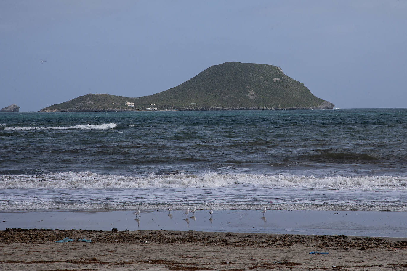 Fotos: Operación &#039;draga y pintura&#039; en las playas de la Región