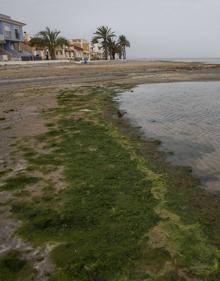 Imagen secundaria 2 - Playas de Los Nietos y Los Urrutias. 