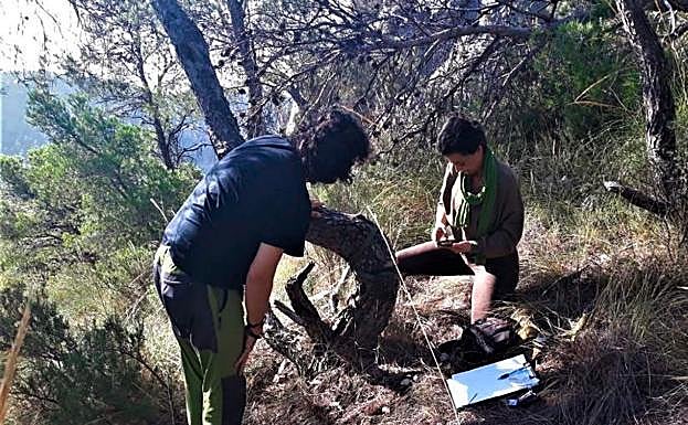 Foto-trampeo durante el estudio de la organización conservacionista. 