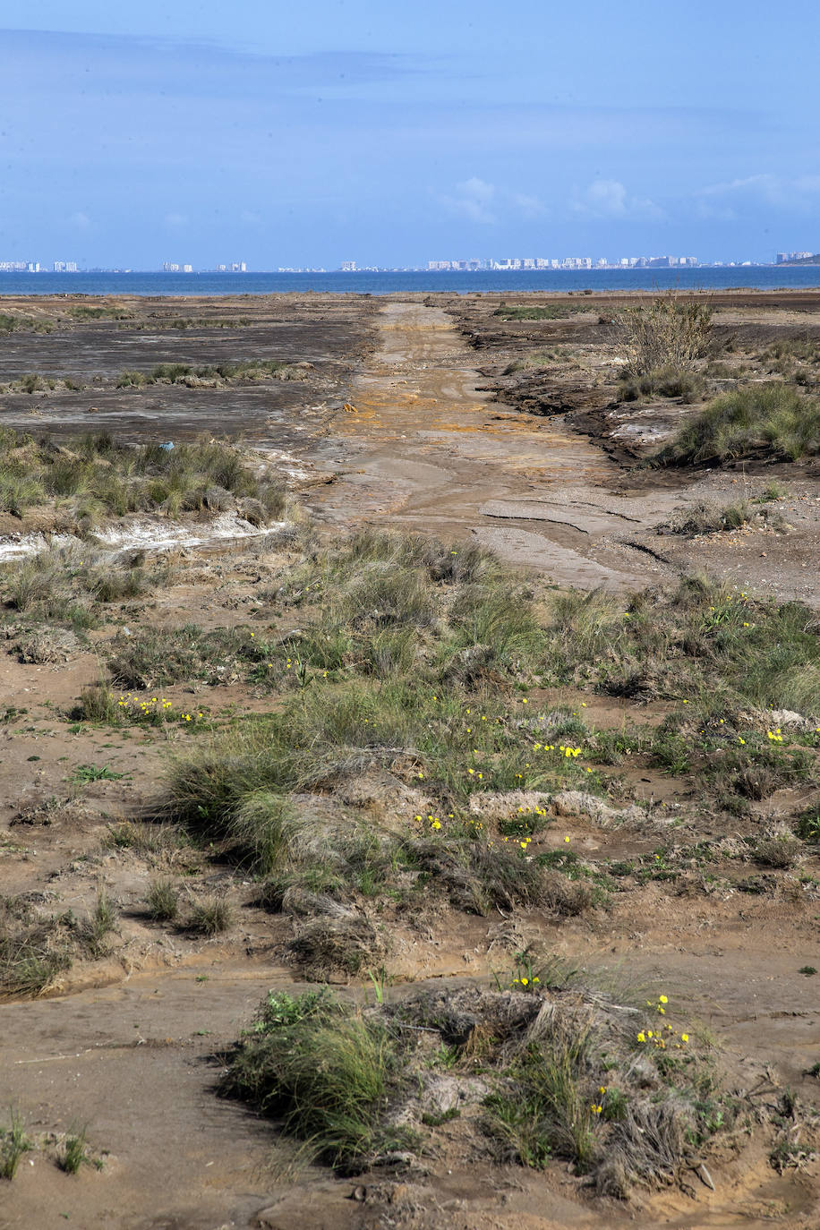 Fotos: Tres ramblas arrastran al Mar Menor residuos mineros con altos niveles de 5 metales pesados