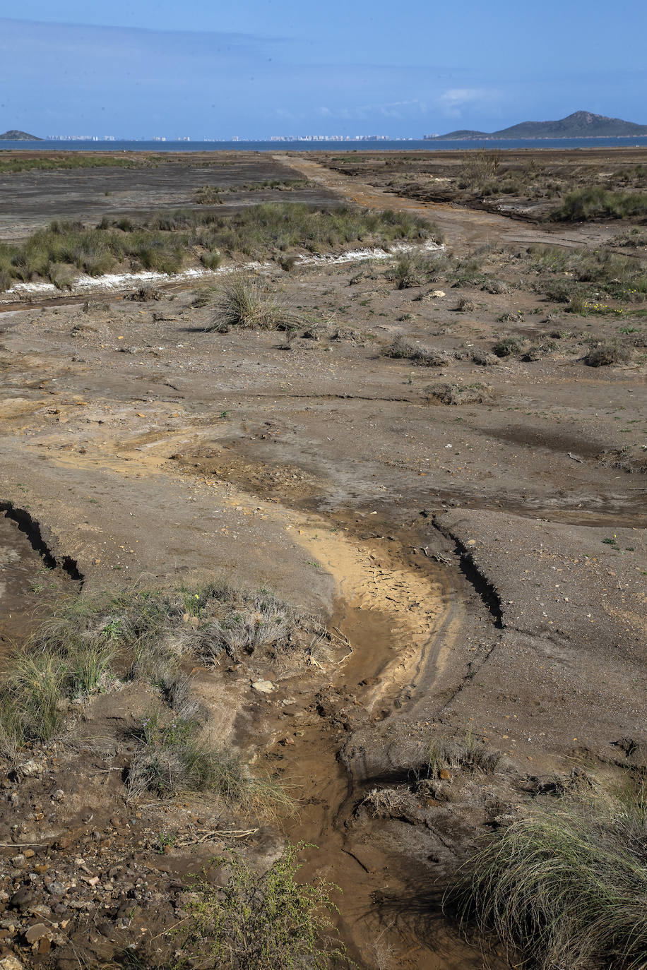 Fotos: Tres ramblas arrastran al Mar Menor residuos mineros con altos niveles de 5 metales pesados
