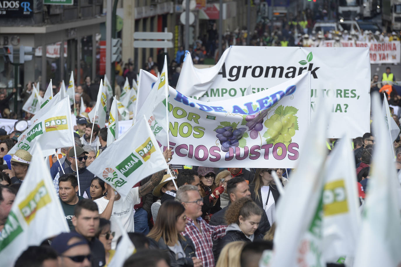 El sector agricola y ganadero ha llevado sus exigencias a la calle con pancartas de todo tipo pidiendo más ayudas a los políticos y una regulación que mejore sus condiciones