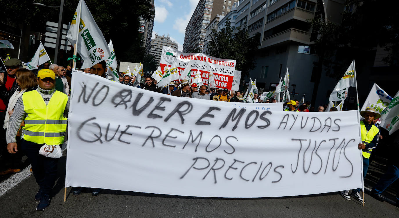 El sector agricola y ganadero ha llevado sus exigencias a la calle con pancartas de todo tipo pidiendo más ayudas a los políticos y una regulación que mejore sus condiciones