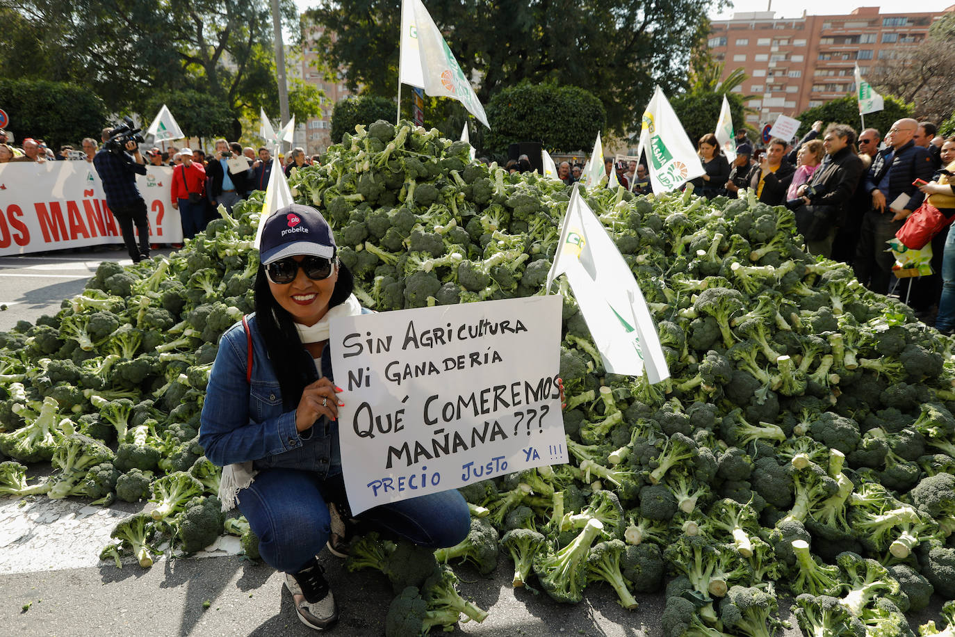 El sector agricola y ganadero ha llevado sus exigencias a la calle con pancartas de todo tipo pidiendo más ayudas a los políticos y una regulación que mejore sus condiciones