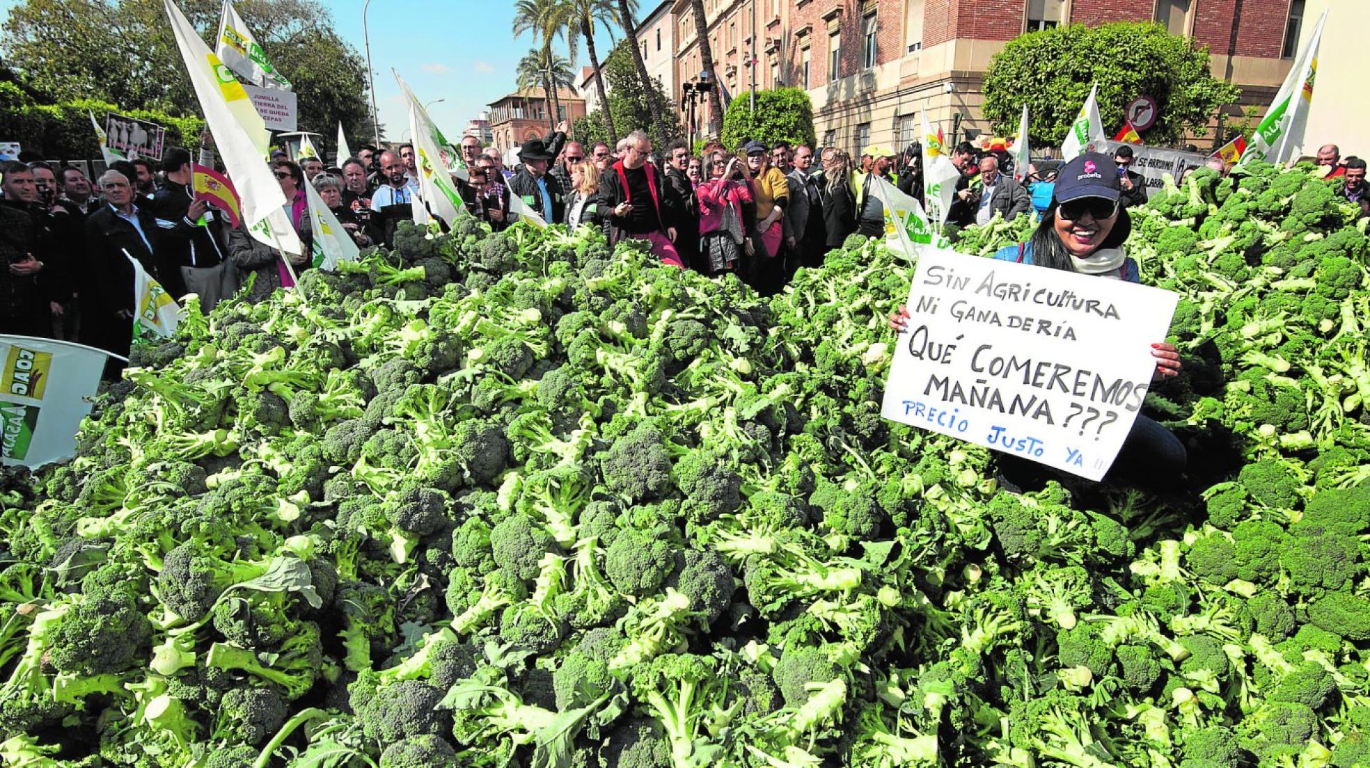  Una mujer con una pancarta posa encima de los brócolis que los agricultores derramaron ayer frente a la Delegación del Gobierno. 