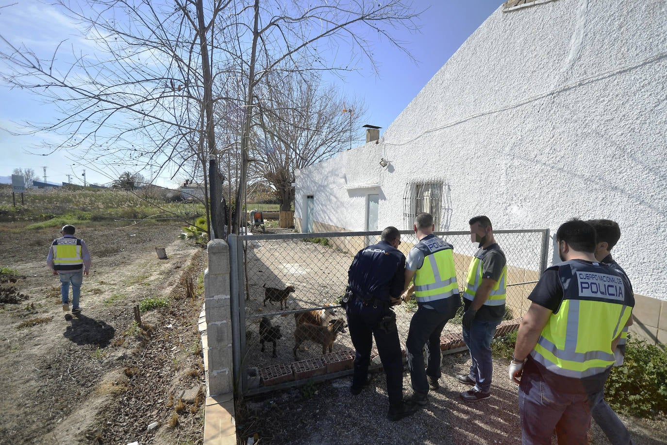 Fotos: Golpe de la Policía Nacional al cultivo de marihuana en La Alberca