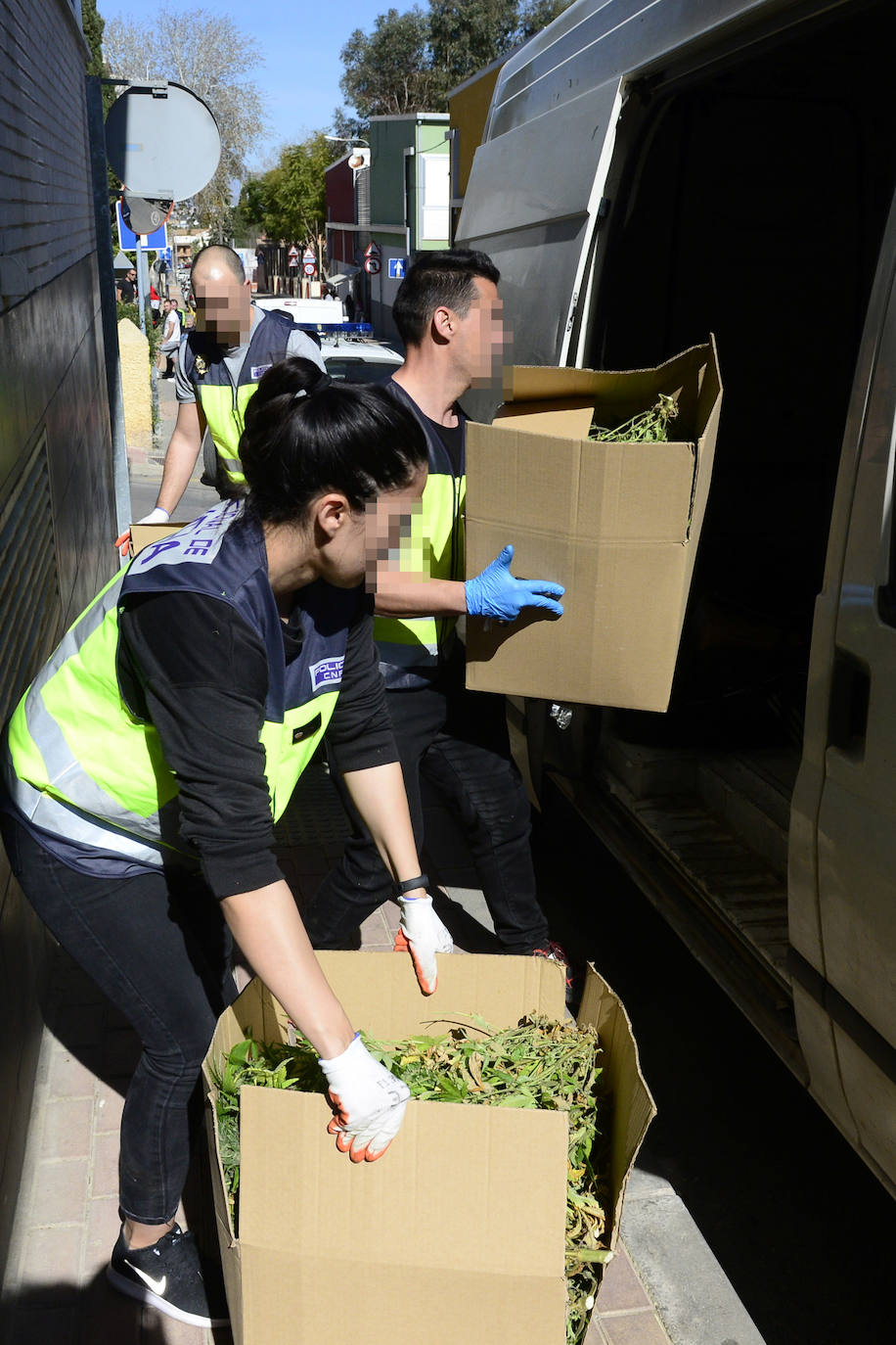 Fotos: Golpe de la Policía Nacional al cultivo de marihuana en La Alberca